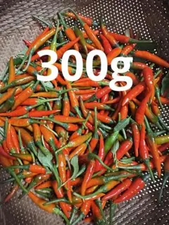 2026年最新】黄金唐辛子の人気アイテム - メルカリ