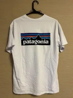 patagonia ホワイト Tシャツ バックプリント