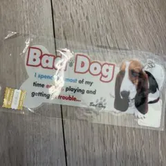 Item thumbnail for item 95ad3ef6-a95c-4436-a5df-651c4ed4c864