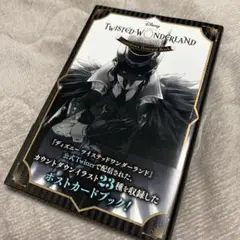 ディズニー ツイステッドワンダーランド カウントダウン ポストカードブック 初版