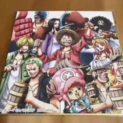 美品】ワンピースカード 2周年 ガイドブック 付録 ゾロ十郎 おナミ 本