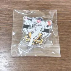 chotsinn様 リクエスト 4点 まとめ商品