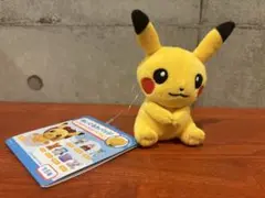 ポケモン ぬいぐるみバッジ Vol.1「ピカチュウ」