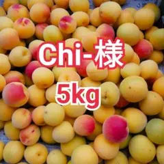 Chi -様　山梨県産　新鮮　中熟～完熟　南高梅　5kgのサムネイル