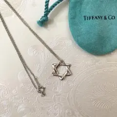 Tiffany & Co. ティファニー　スターオブダビデ　ネックレスのサムネイル