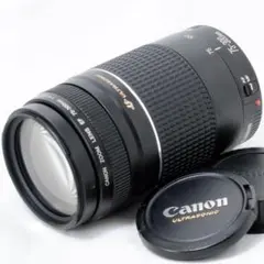 ⭐️実用品⭐️Canon キャノン EF 75-300mm 4-5.6 ⅢUSMのサムネイル