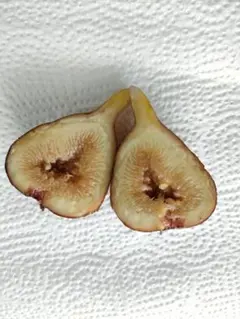 かつ様 リクエスト 4点 まとめ商品