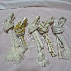 Item thumbnail for item 53c70367-f0d7-47dc-a045-f1bbba466f73