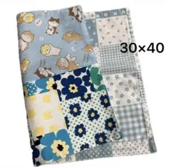 Item thumbnail for item 8271be58-a2cf-4d68-8455-848193dc9a4e