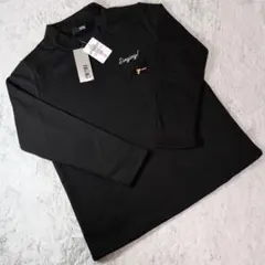 Item thumbnail for item 5be23b6c-abe6-457f-9721-7a073524ab51