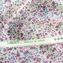 Item thumbnail for item 8172f19a-d43e-42bb-92bb-ad3f64f541b5