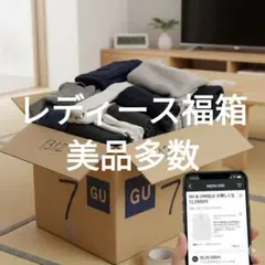 レディース福箱　ユニクロ　ZARA　ジーユー等　M-Lサイズ　段ボール100