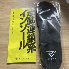 IRERUDAKE 運動連鎖系インソールRiCAM インソール Mサイズ