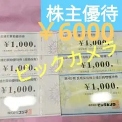 【24時間以内＆匿名配送】ビックカメラ、コジマ 株主優待券 ６枚セット