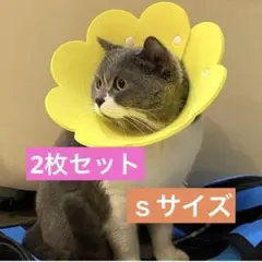 美品✨エリザベスカラー【S】猫用 犬用 ソフト 着脱便利 傷舐め防止 黄色