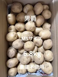 埼玉県産　新じゃがいも　男爵　MSサイズ　農薬不使用　6.8kgのサムネイル
