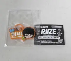RIIZE ウォンビン ぷっくりめじるしアクセサリー