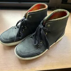 Item thumbnail for item 17af1e2d-b3e0-42a8-a585-f2aa57f087df