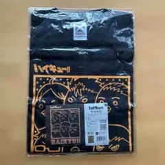 Item thumbnail for item a2c2e0f2-eb20-4e0c-bb68-a223cec4278c