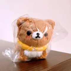 新品未開封！銀座三越 くまフェス限定♪コリラックマ ライオン