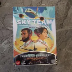 SKY TEAM スカイチーム　ボードゲーム 2人用