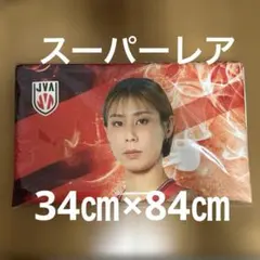 バレーボール女子 スーパーレア モバガチャ マイクロファイバータオル