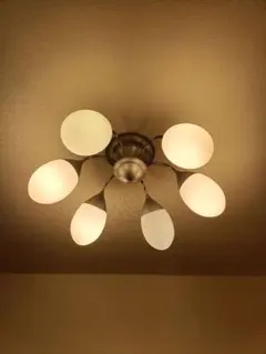 Item thumbnail for item e88ea471-0786-4456-a60d-85544271e0fa