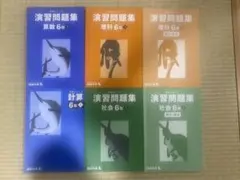 四谷大塚 4年予習 国算理社/演習/漢字 上下 中古 2023年版 - メルカリ