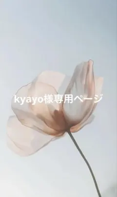 kyayo様専用ページ