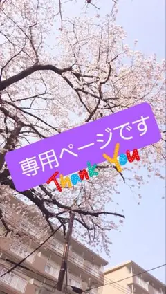 lapis0125様専用のサムネイル