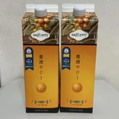 豊潤サジー　1000ml 2本 豊潤サジー 1000ml×2本セット サジージュース【紙パックタイプ】_M327