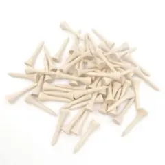 Item thumbnail for item 8acb1ddb-2cf5-4c7c-b8e2-5a1d2b8f316c