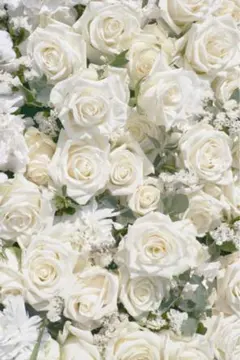 コジコジ様 リクエスト 2点 まとめ商品