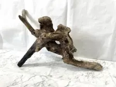 수족관용 천연 유목, 천연 인테리어 오브제 OK