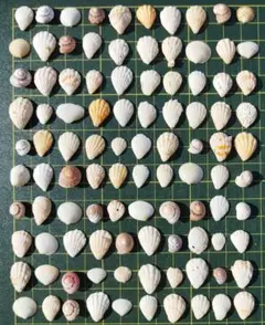 ichika様 リクエスト 2点 まとめ商品