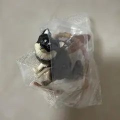 ふんばりーぬ　キーホルダー　犬　チワワ