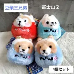 【新品タグ付き】豆柴三兄弟　富士山２　4個セット