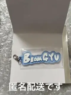 ボムギュ アイドル