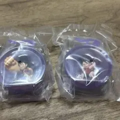 ワンピの実ミクロブリスターチャーム2個セット未開封