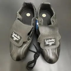 Item thumbnail for item c1df8fc5-a7b2-4824-8a09-116bf8d8f2ef