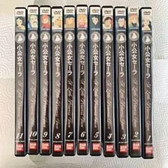 【完結】世界名作劇場 小公女セーラ DVD 全11巻セット