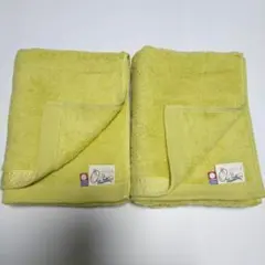 Item thumbnail for item a6cd848e-27f4-479d-8b7a-37c6812f6a0c