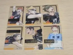 ハイキュー 箔押しクリアカードコレクション 烏野 常波