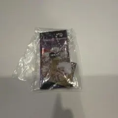 ワンピース 大海賊シールウエハース ミニチュアチャーム ルフィ