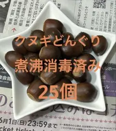クヌギどんぐり　　25個
