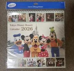 ディズニーリゾート 実写 カレンダー 壁掛け 2026のサムネイル
