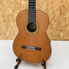 新品弦張替済】Takamine エレアコ NPT-108-6 長渕剛 - メルカリ