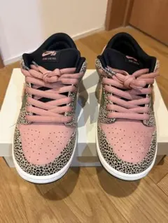 Arts Rec × Nike SB Dunk Low Pro