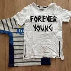 ZARA他　半袖Tシャツ　2枚セット