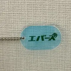 2026年最新】レトロアクリルキーホルダー エバースの人気アイテム